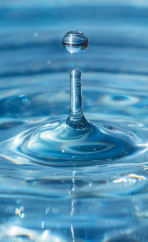 cheap and best commercial plots near aiims darbhanga, low cost commercial plots near darbhanga